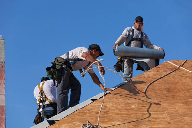 Best New Roof Installation  in Port Salerno, FL